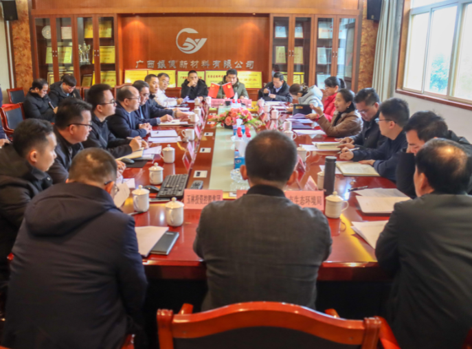 政企合力，共促發(fā)展|玉林市副市長石紅艷到我司主持召開專題研究會議